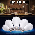 LED-B